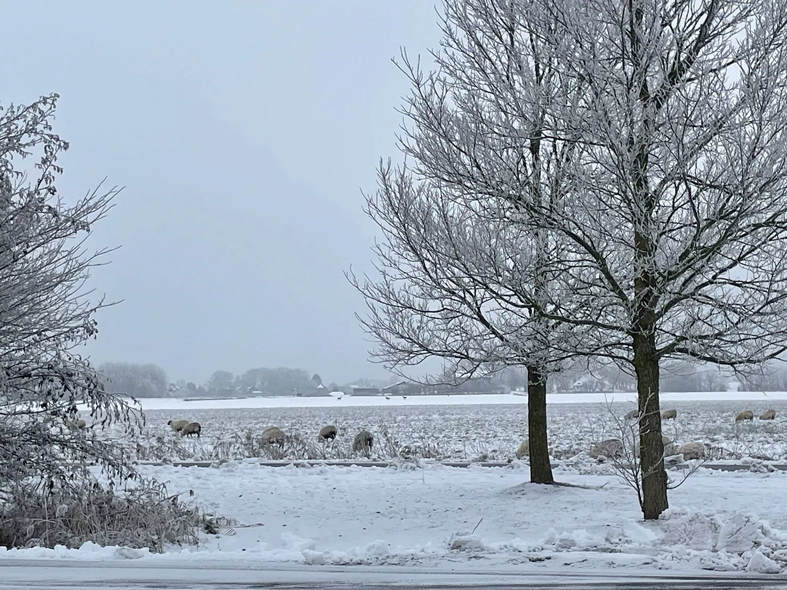 Ferienhaus Deichsonne – Winterlandschaft vom Wohnzimmer aus gesehen, Urlaub an der Nordsee Ferienhaus Deichsonne – Winterlandschaft vom Wohnzimmer aus gesehen, Urlaub an der Nordsee