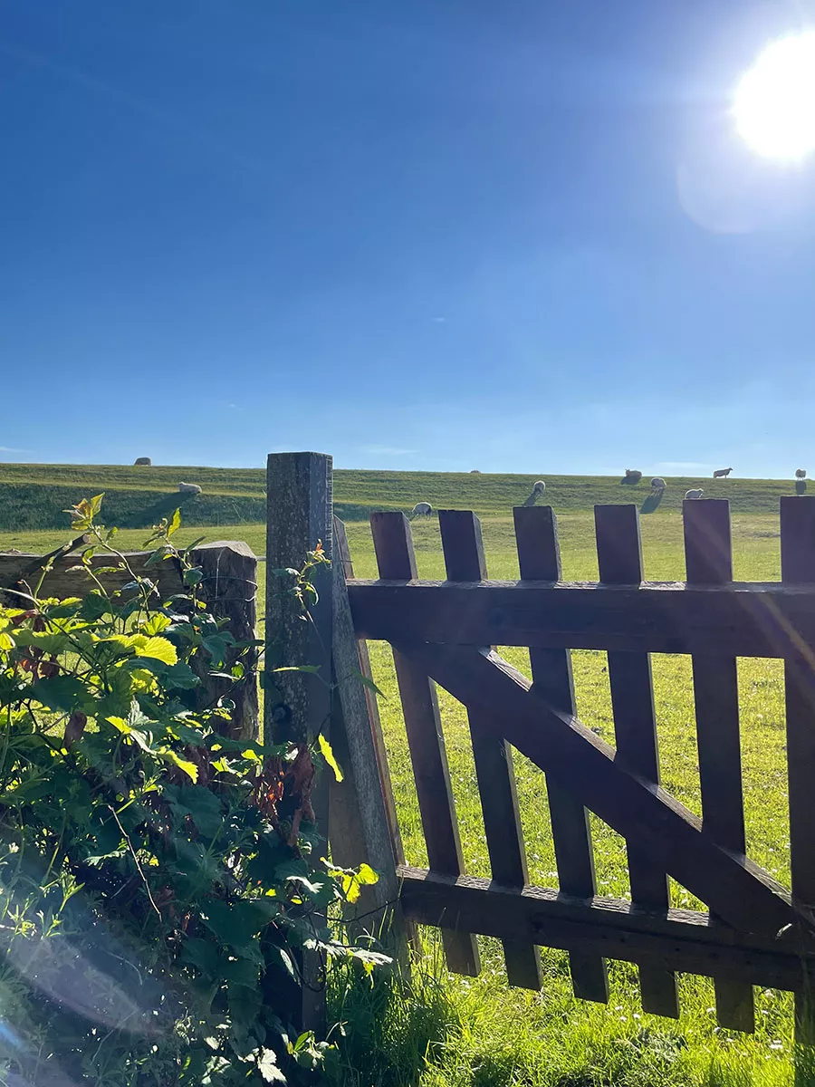 Ferienhaus Deichsonne – direkter Zugang zum Deich, Natur- und Nordseeurlaub Ferienhaus Deichsonne – direkter Zugang zum Deich, Natur- und Nordseeurlaub