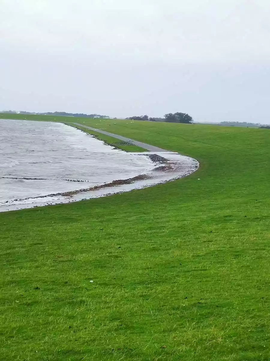 Grüner Deich und Nordsee bei Vollerwiek auf Eiderstedt an einem Herbsttag