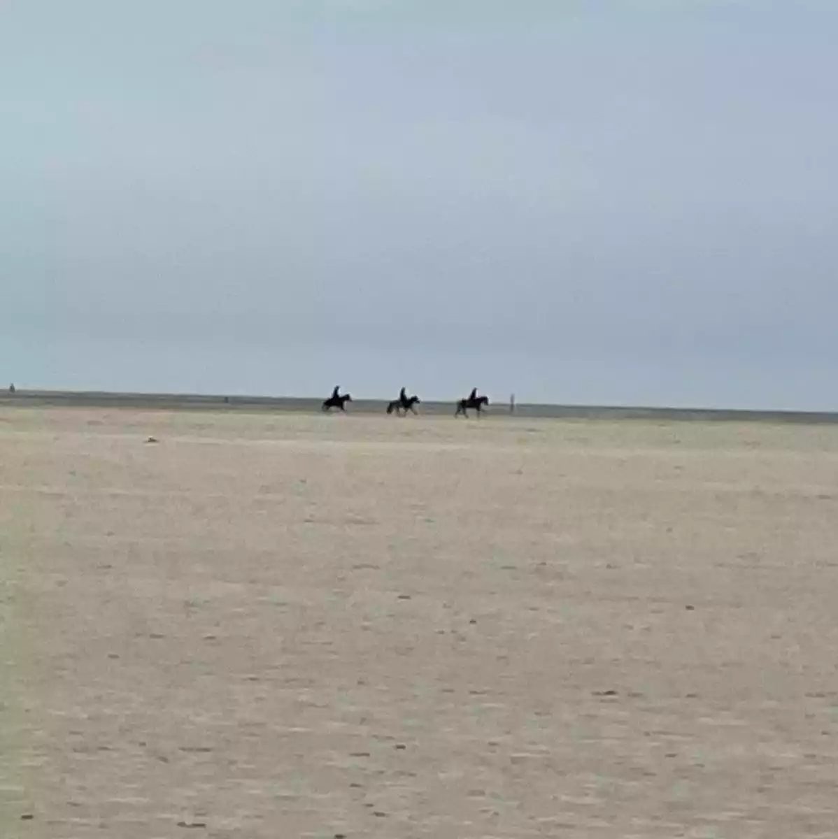 Reiten am Strand von St. Peter-Ording auf Eiderstedt an der Nordsee