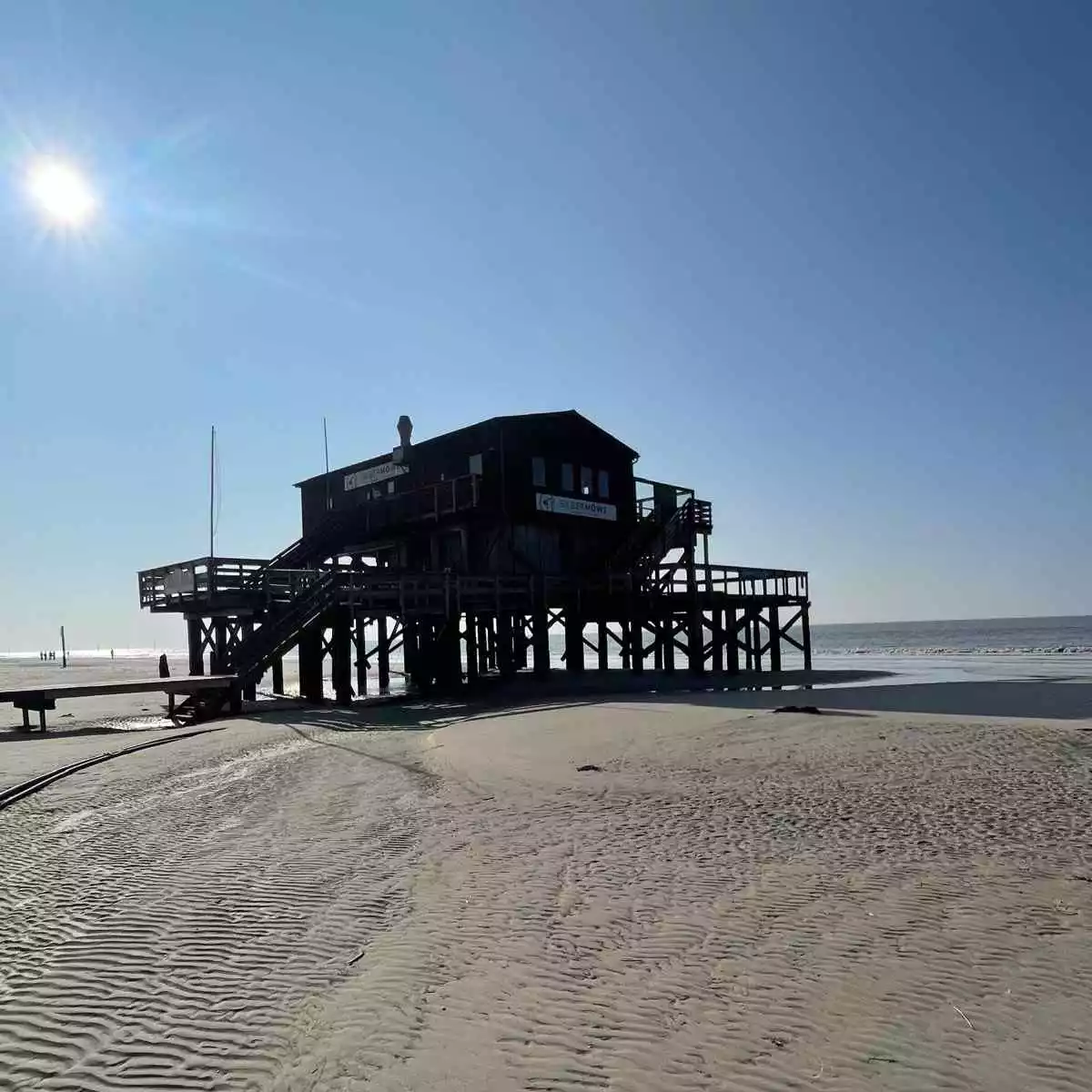 Pfahlbau Silbermöwe am Sandstrand von St. Peter-Ording an der Nordsee.