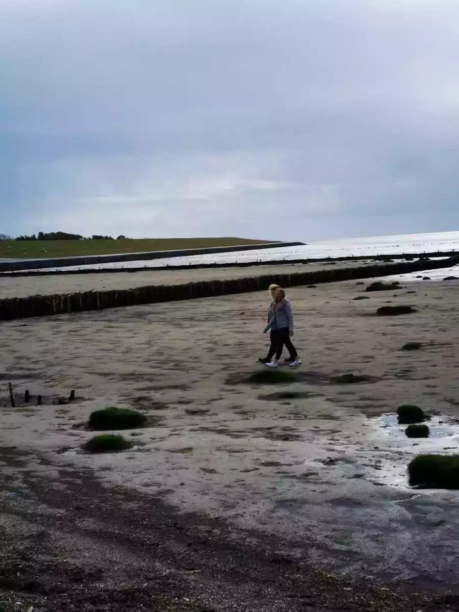 Spaziergang im Wattenmeer bei Vollerwiek auf Eiderstedt im Herbst