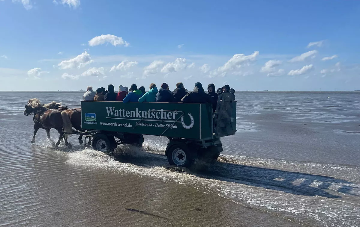 Ausflug durchs Wattenmeer zur Hallig Südfall - ein Erlebnis im Nordseeurlaub Ausflug durchs Wattenmeer zur Hallig Südfall - ein Erlebnis im Nordseeurlaub
