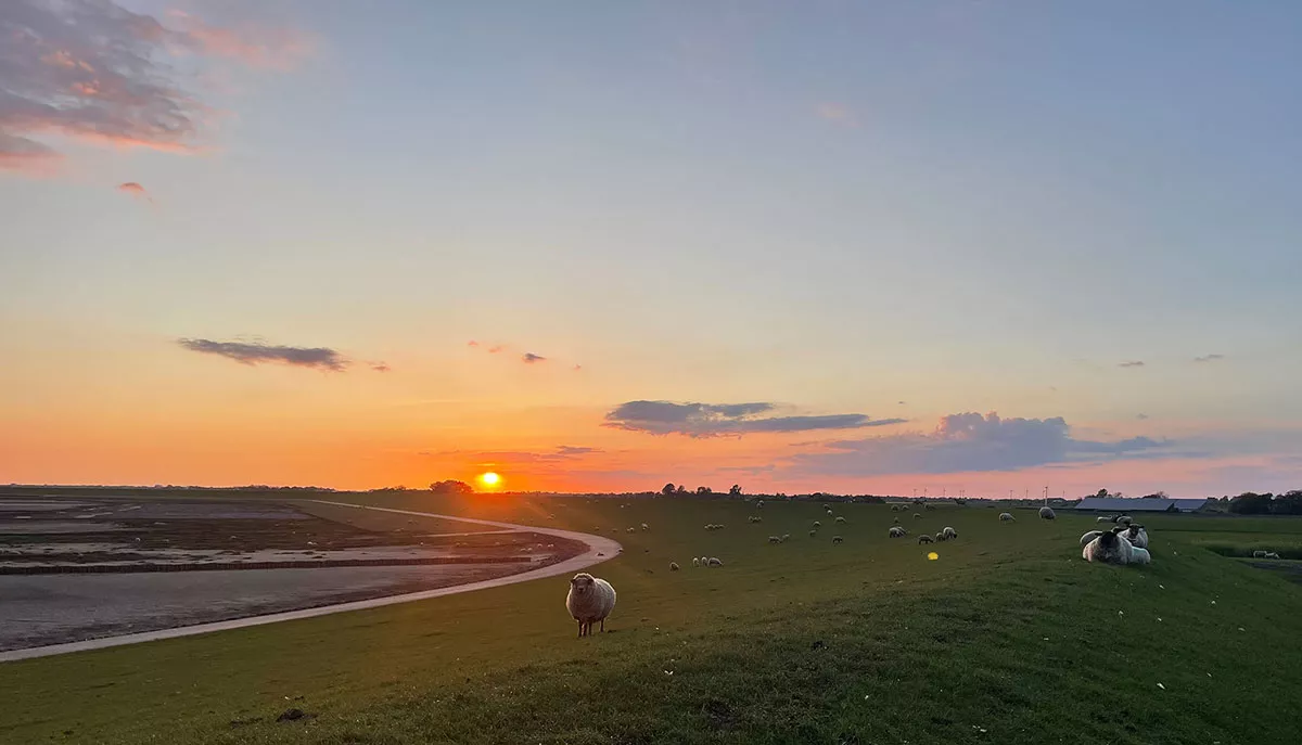 Auszeit am Meer: Sonnenuntergang am Deich in Vollerwiek Auszeit am Meer: Sonnenuntergang am Deich in Vollerwiek