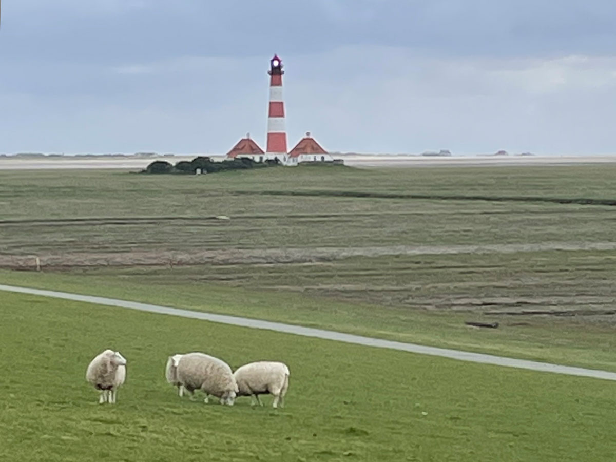 st-peter-ording-entdecken–strand-duenen-fotomotive-an-der-Nordsee